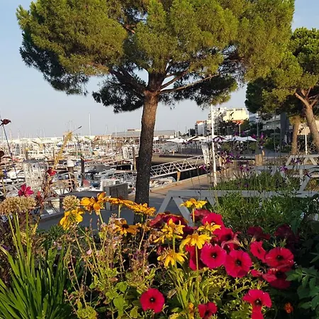 Petit Port - T3 Vue Bassin דירה *