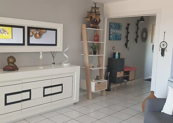 Petit Port - T3 Vue Bassin Apartman Arcachon