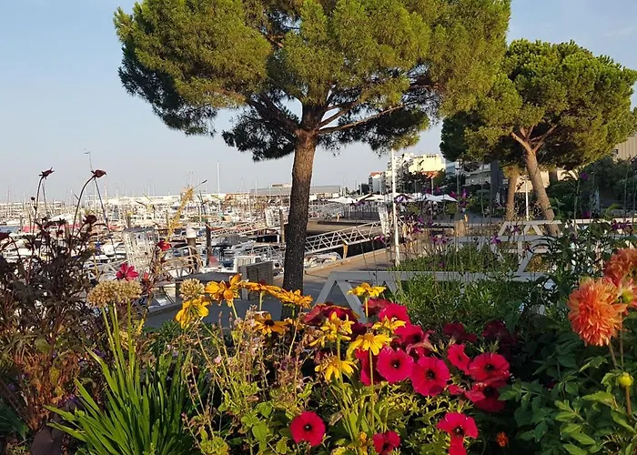 Petit Port - T3 Vue Bassin Apartman *